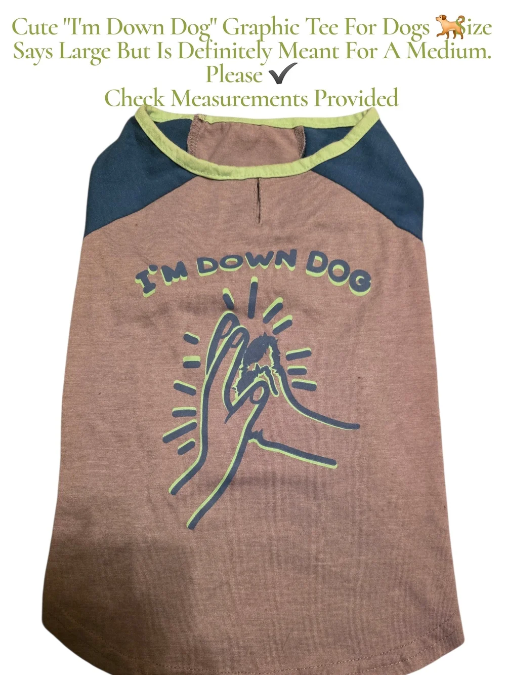 I'm Down Dog Graphic Dog Tee - Grey with Blue & Lime Trim